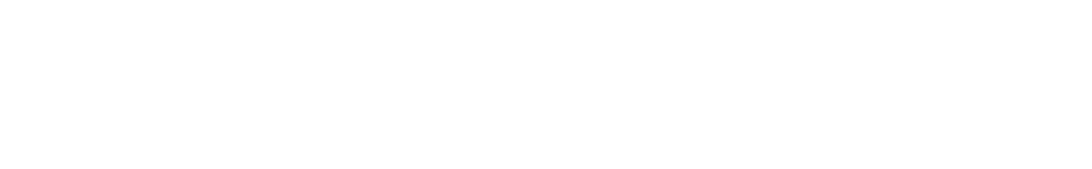 Echo & Insight